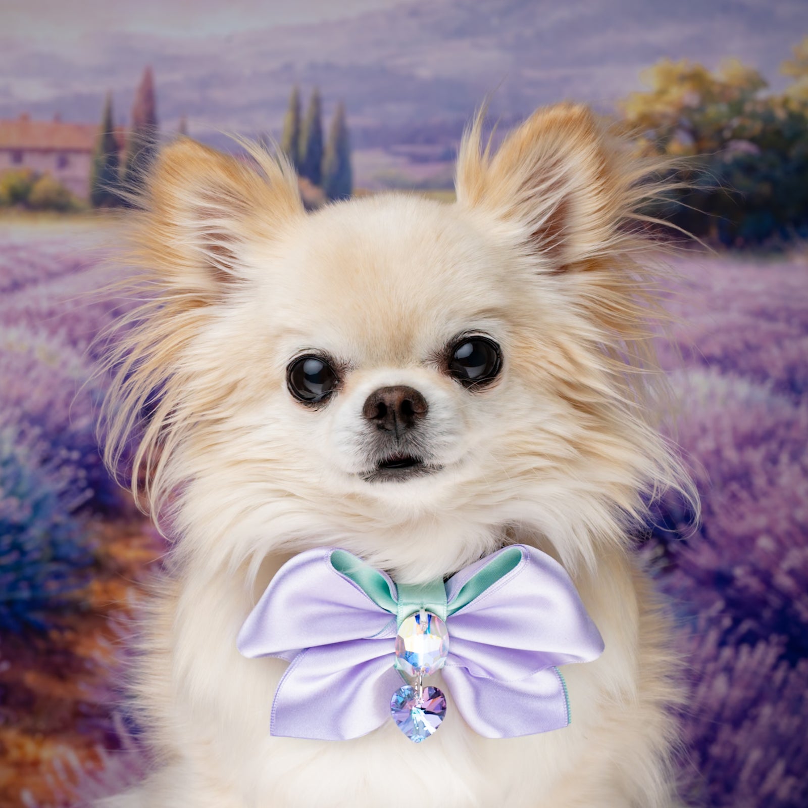Provence Clara Bow, Lavender, Petite