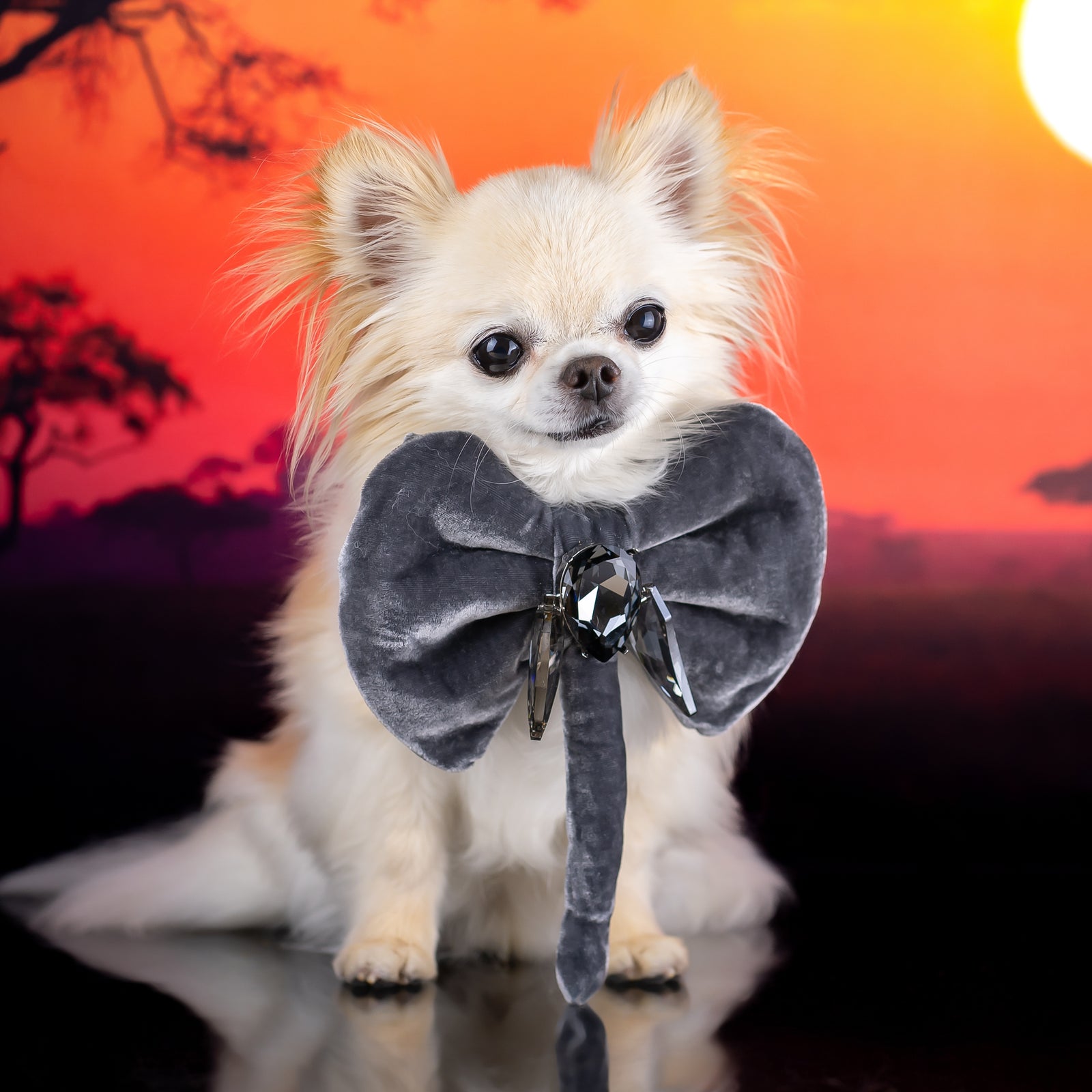 Serengeti Silk Velvet Elephant Bow, Medium