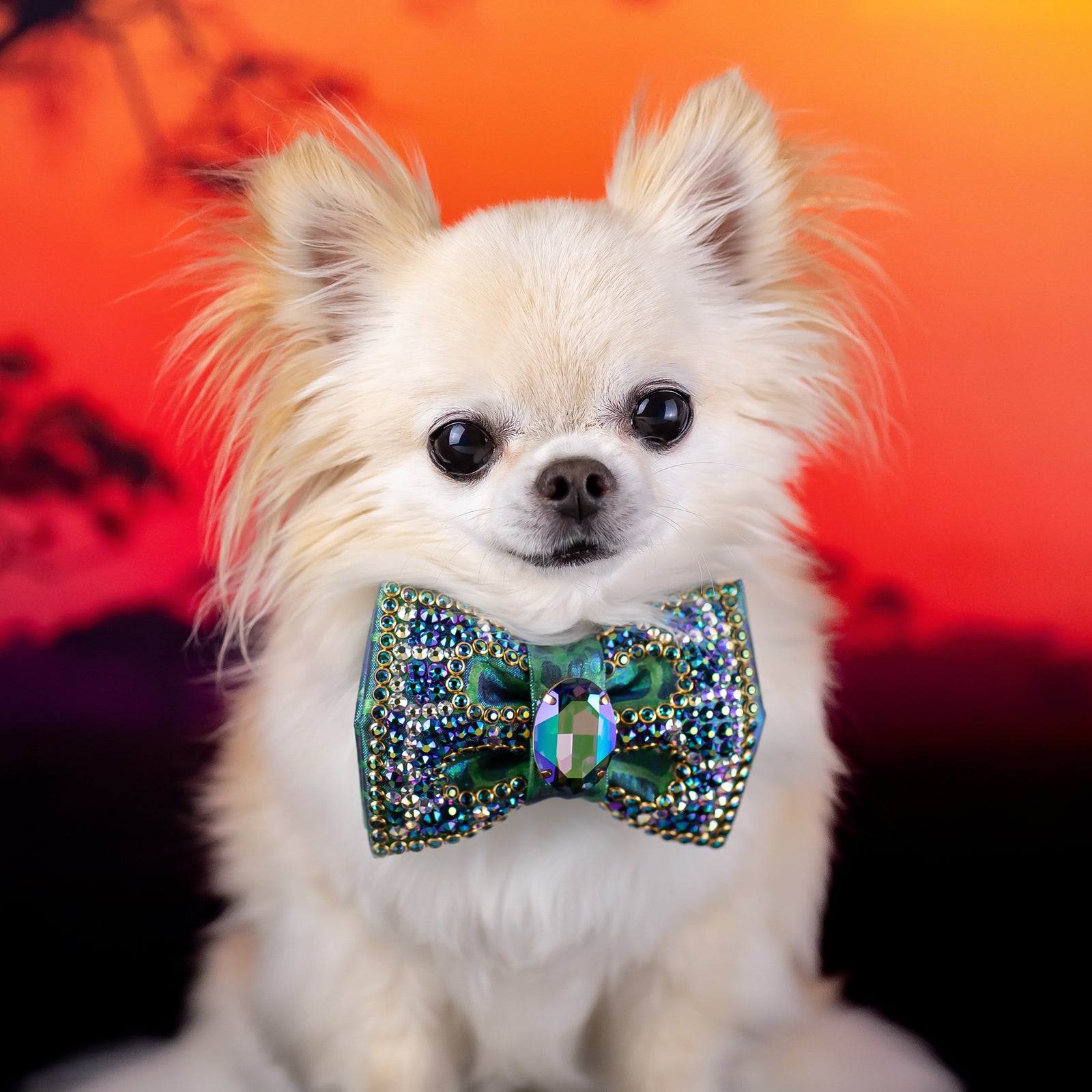 Serengeti VIP Majestic Mock Croc Bow, Petite