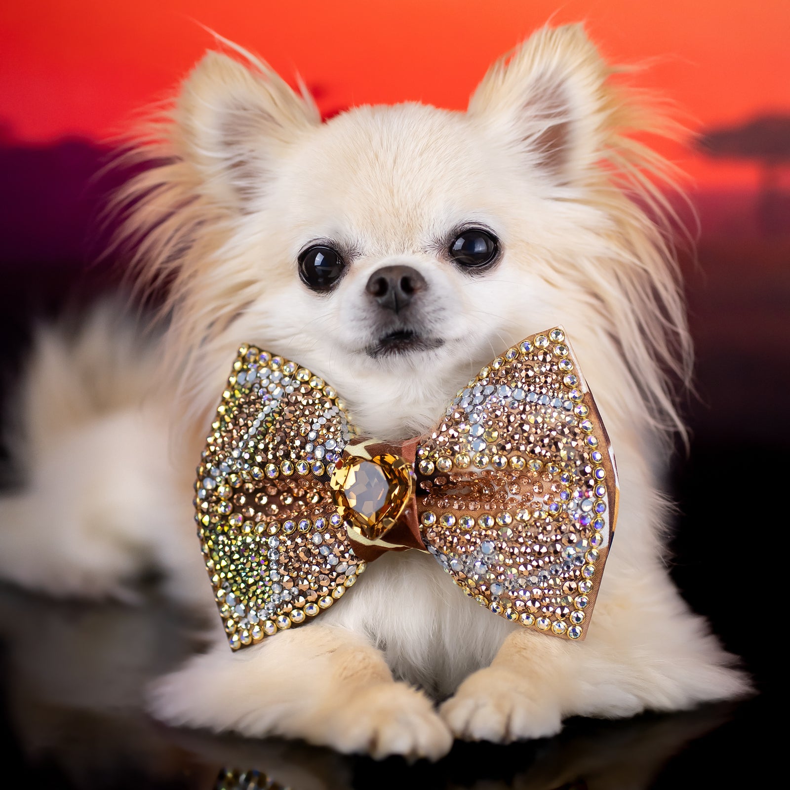 Serengeti VIP Queen of Giraffe Bow, Medium