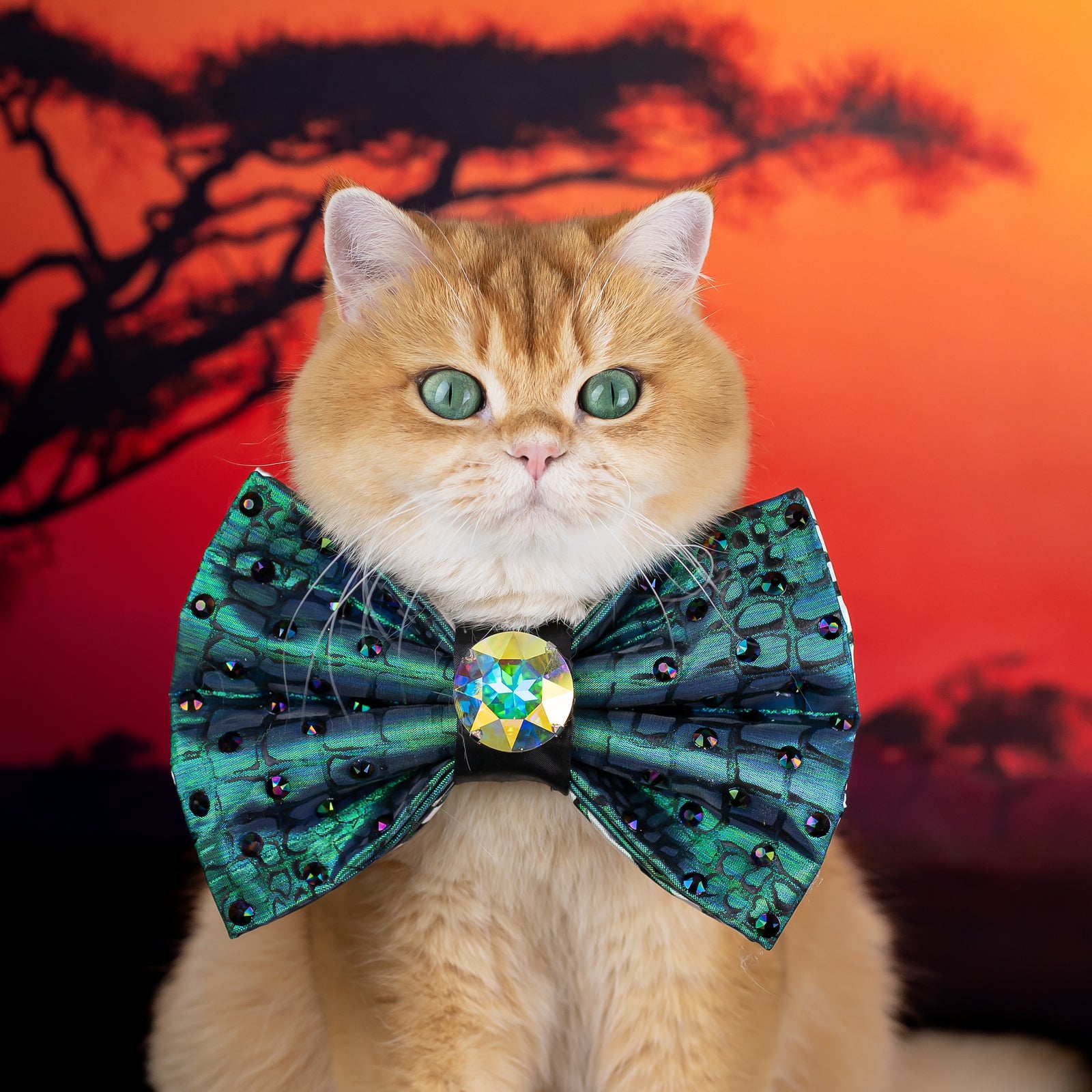 Serengeti Bejewelled Hand-painted Reversible Bow, Grand