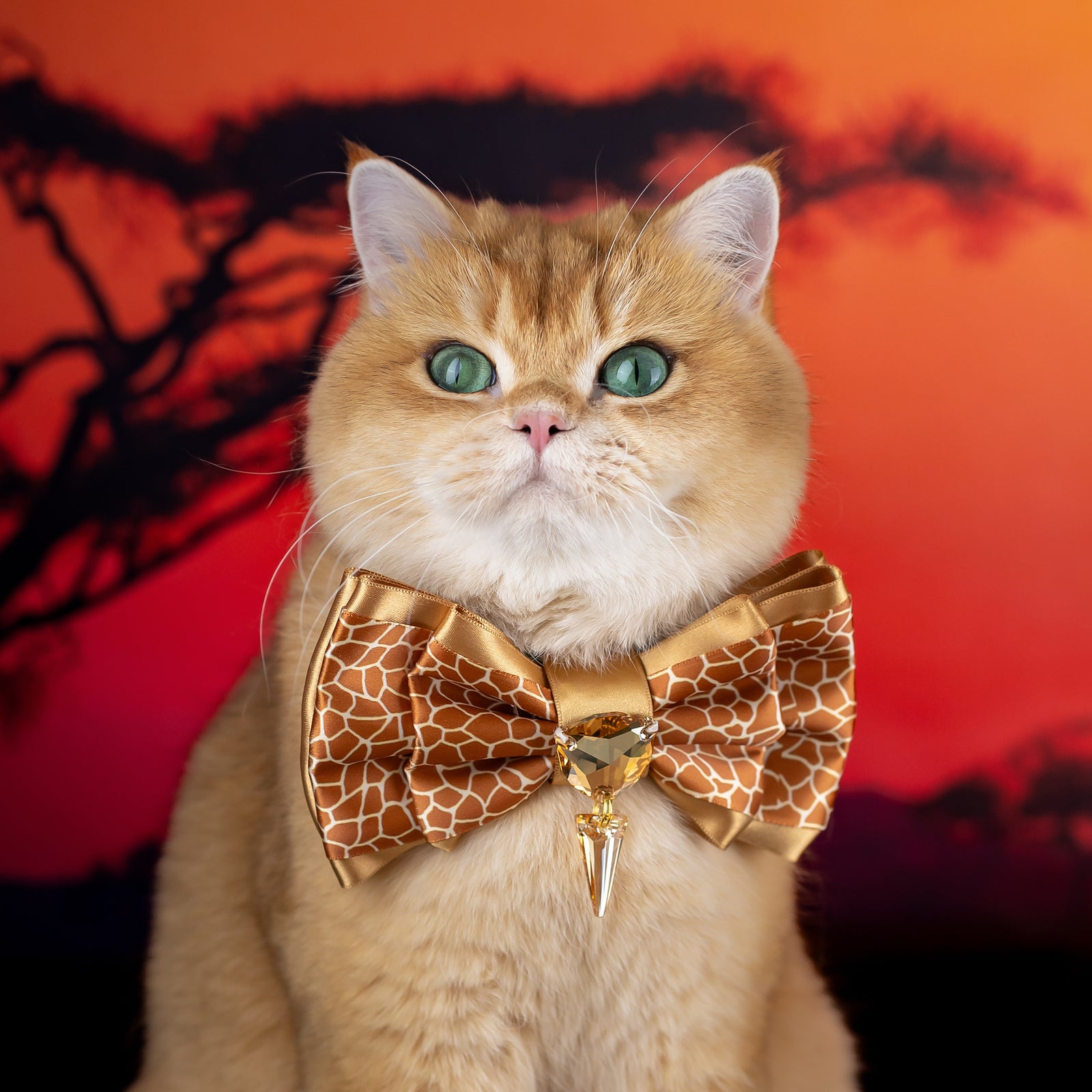 Serengeti Puppy Love Giraffe Bow, Medium