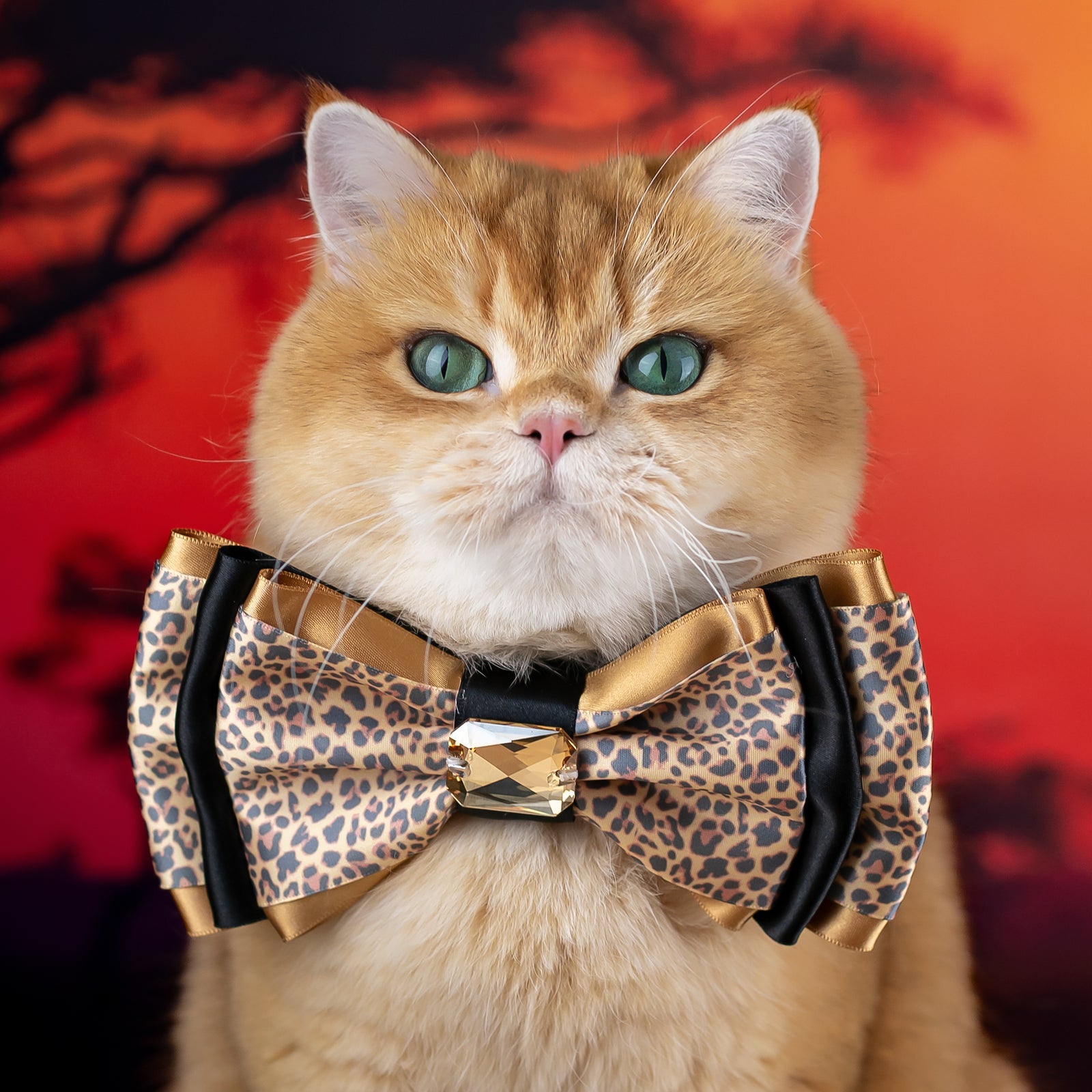 Serengeti Amara Bow, Medium