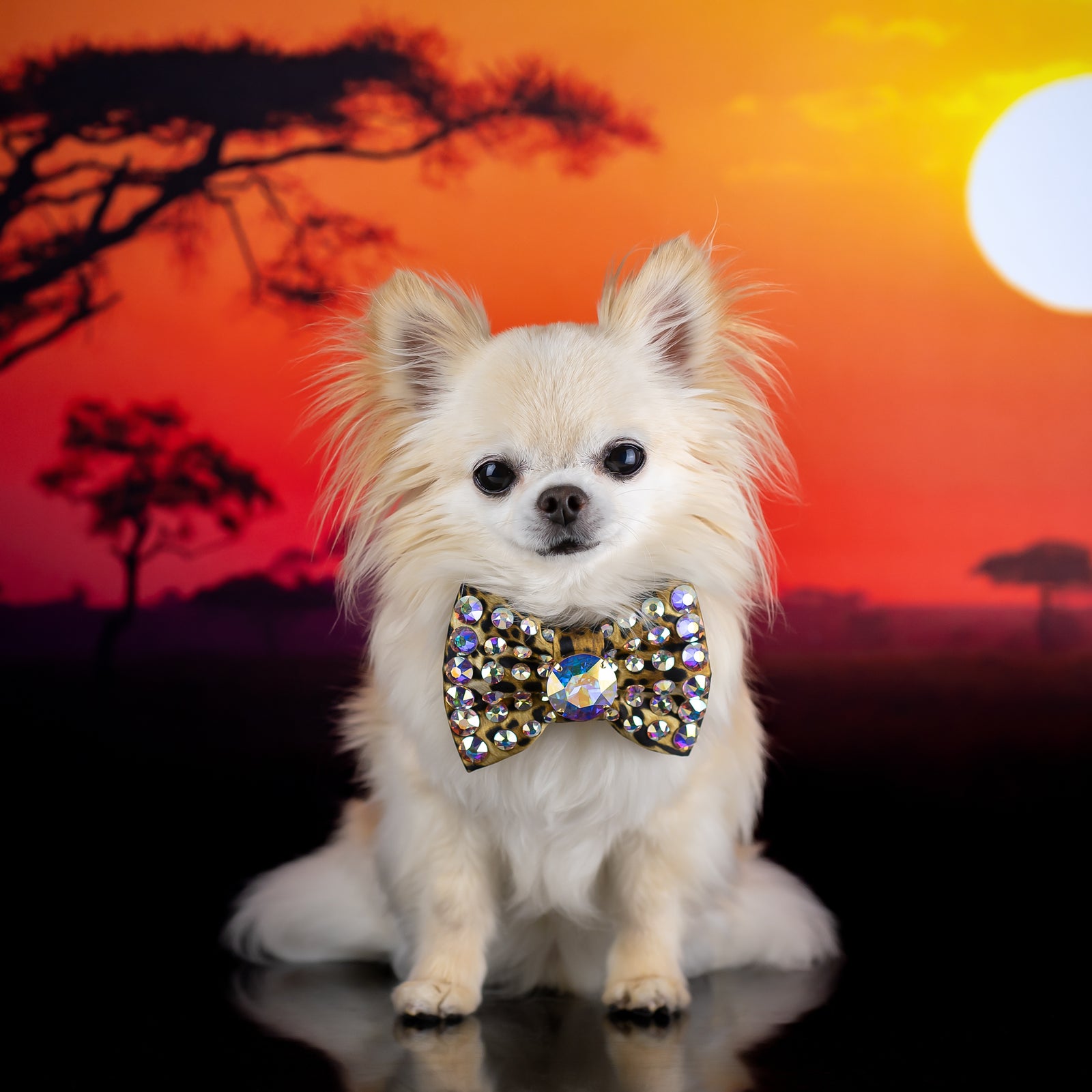 Serengeti VIP Prince Louis Monarch Bow, Leopard Petite