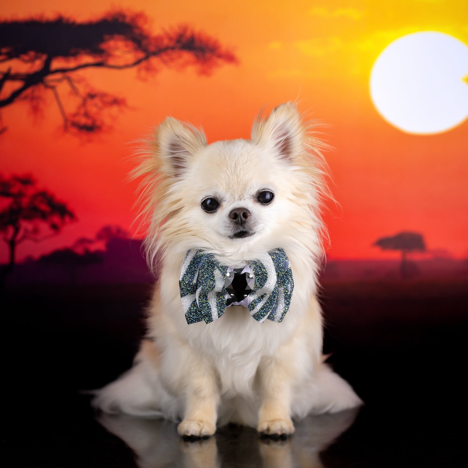 Serengeti VIP Puppy Love Zebra, Petite