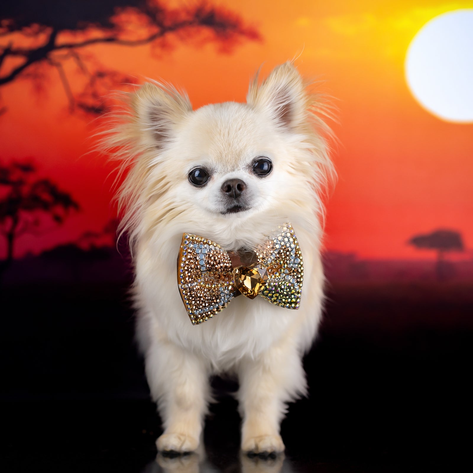 Serengeti VIP Queen of Giraffe Bow, Petite