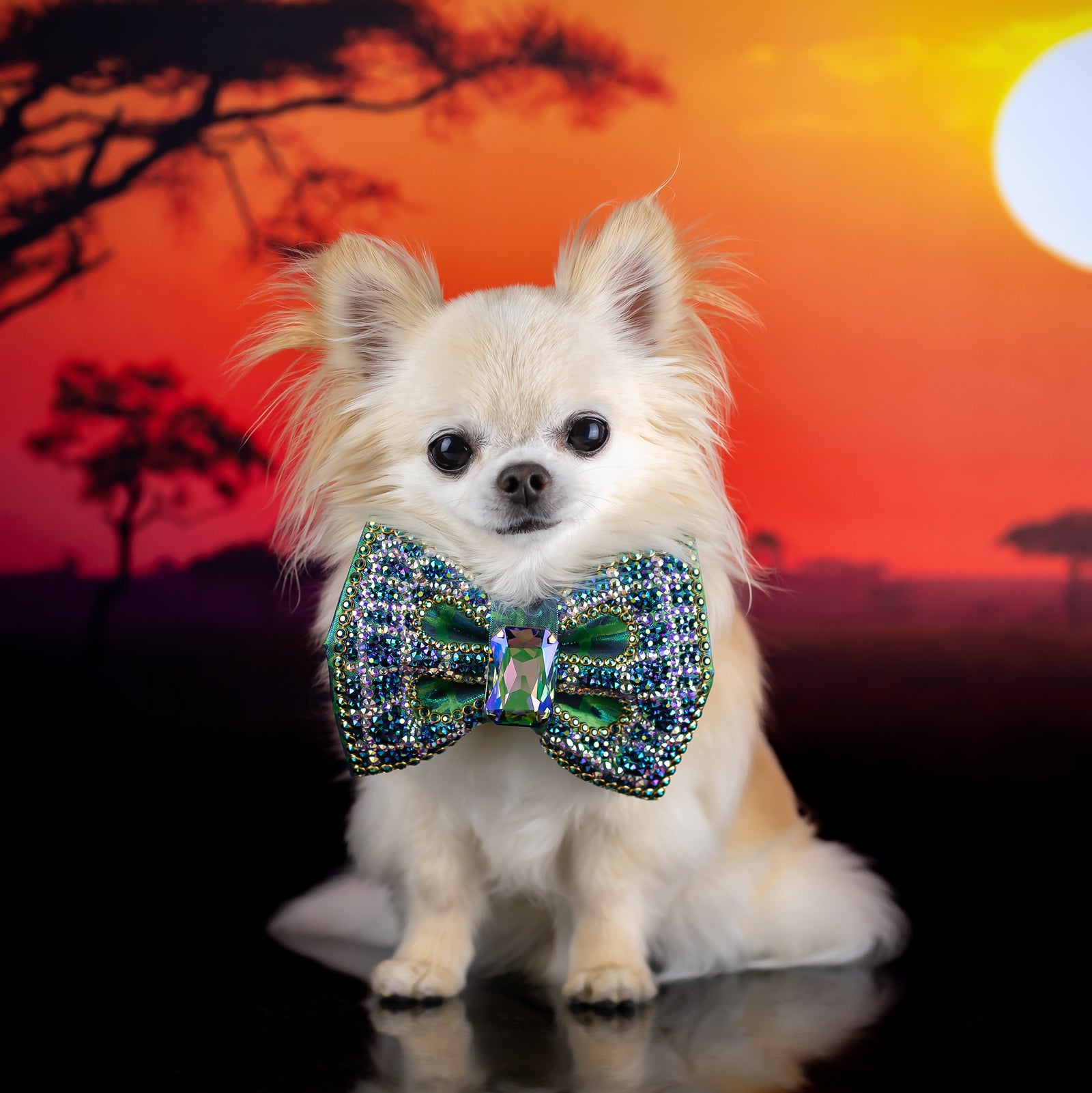 Serengeti VIP Majestic Mock Croc Bow, Medium