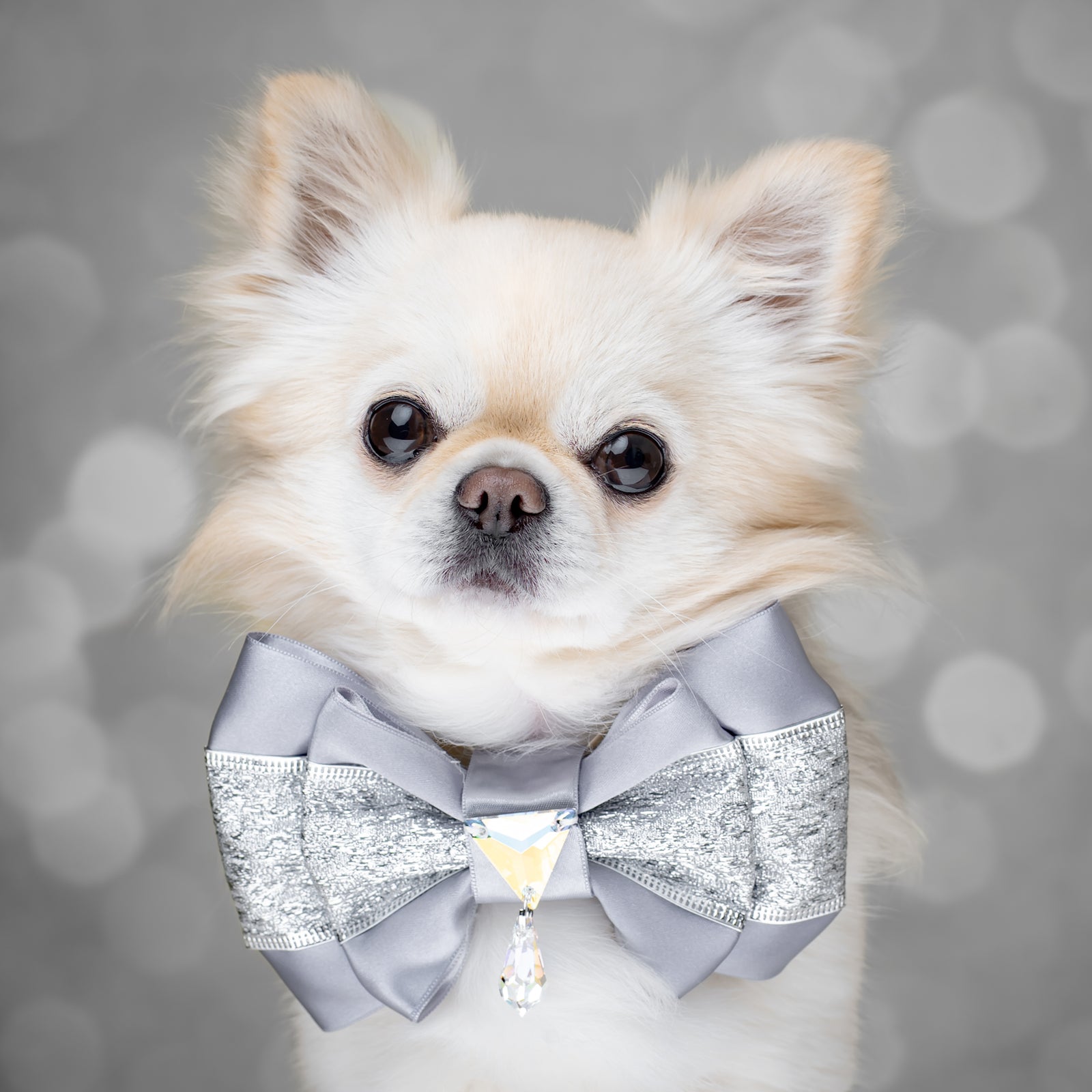 Silver Screen Puppy Love Bow, Medium