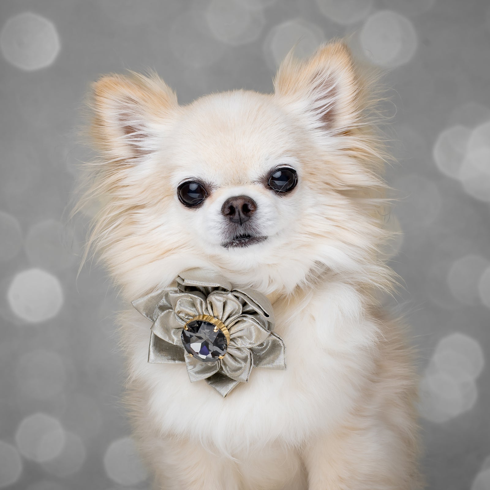 Silver Screen Hollywood Silk Rose, Petite