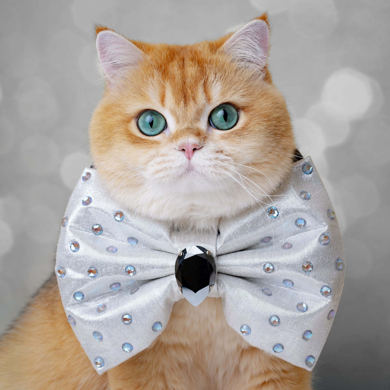 Silver Screen Bejewelled Reversible Bow, Grand