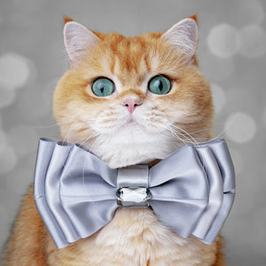 Silver Screen Amara Bow, Medium