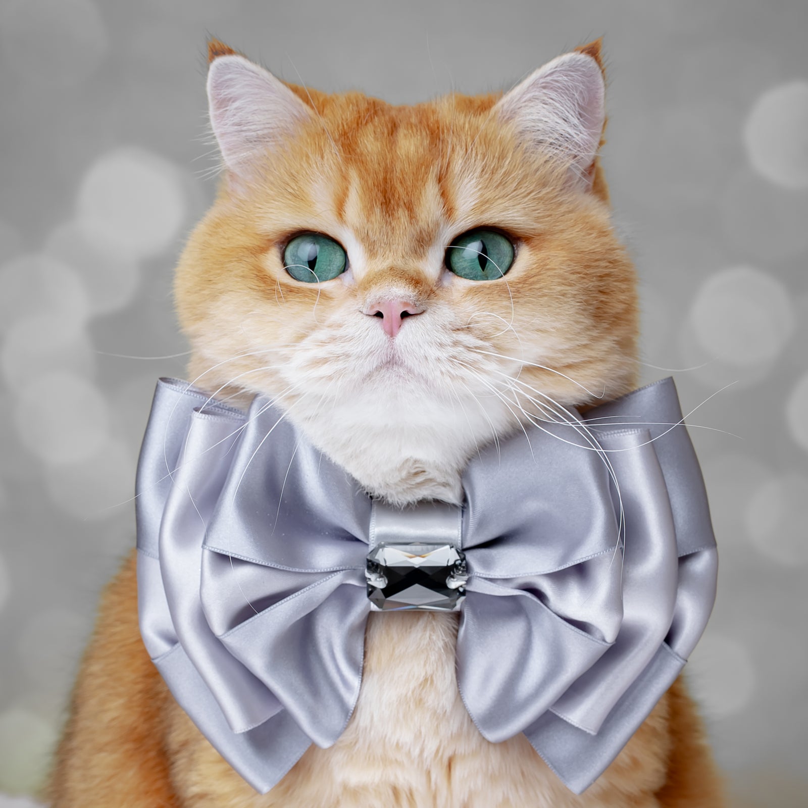 Silver Screen Amara Bow, Medium