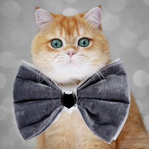 Silver Screen Bejewelled Reversible Bow, Grand