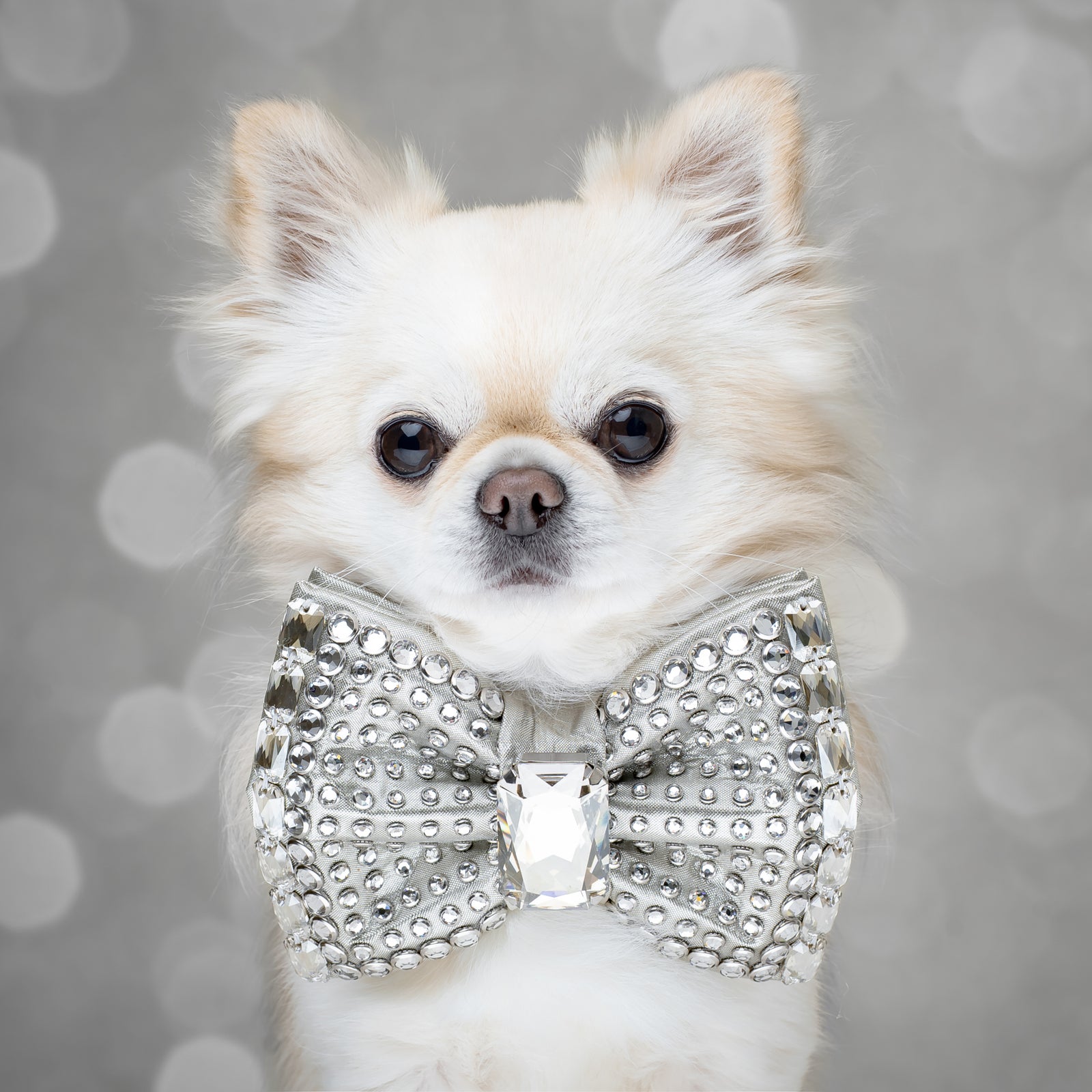 Silver Screen VIP Monarch Bow Medium