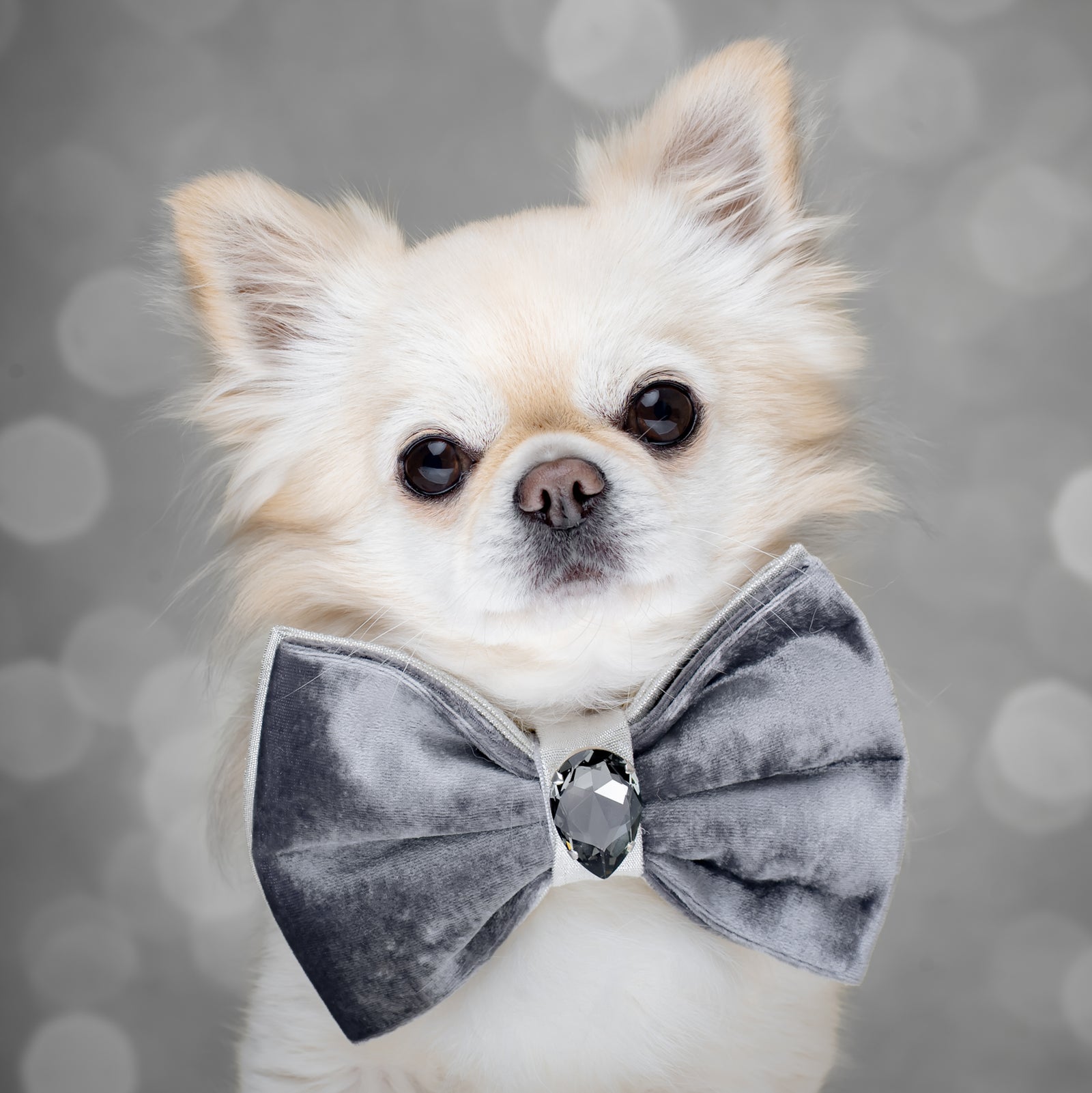 Silver Screen Bejewelled Reversible Bow, Medium