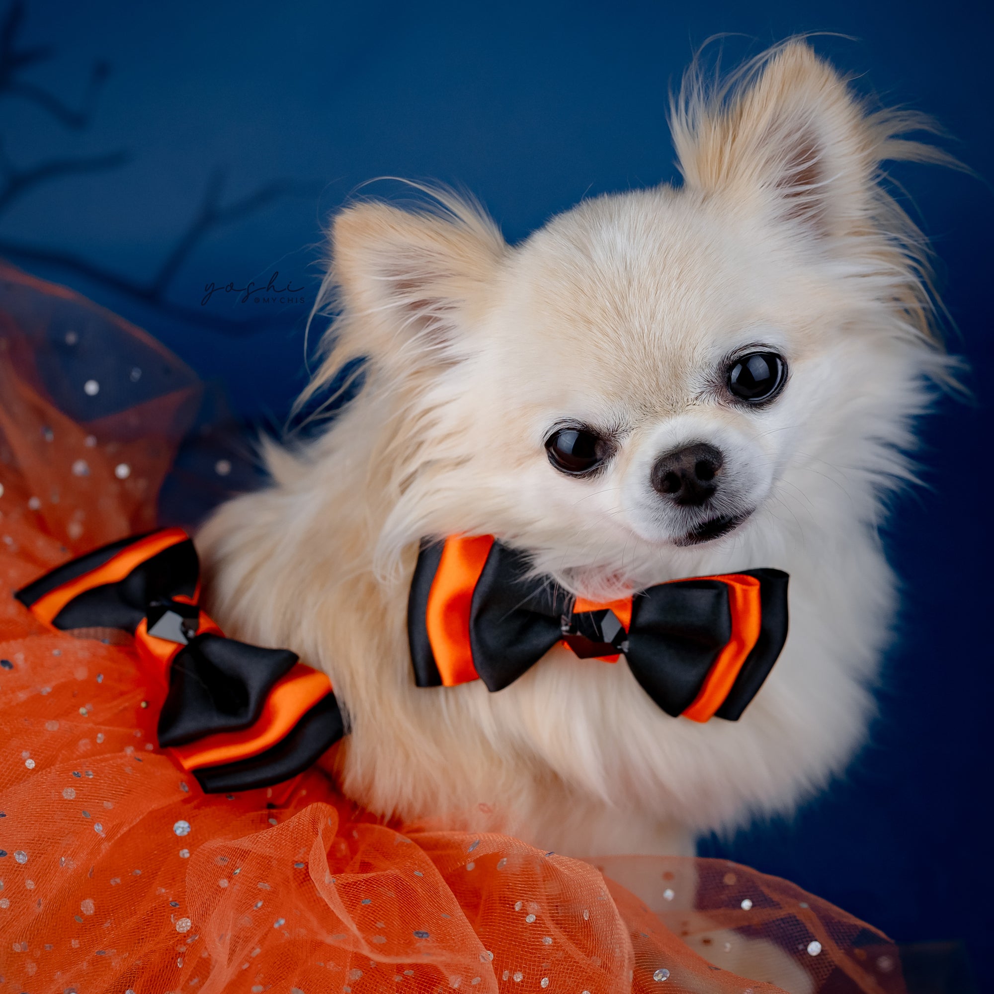 Spooktacular Tutus