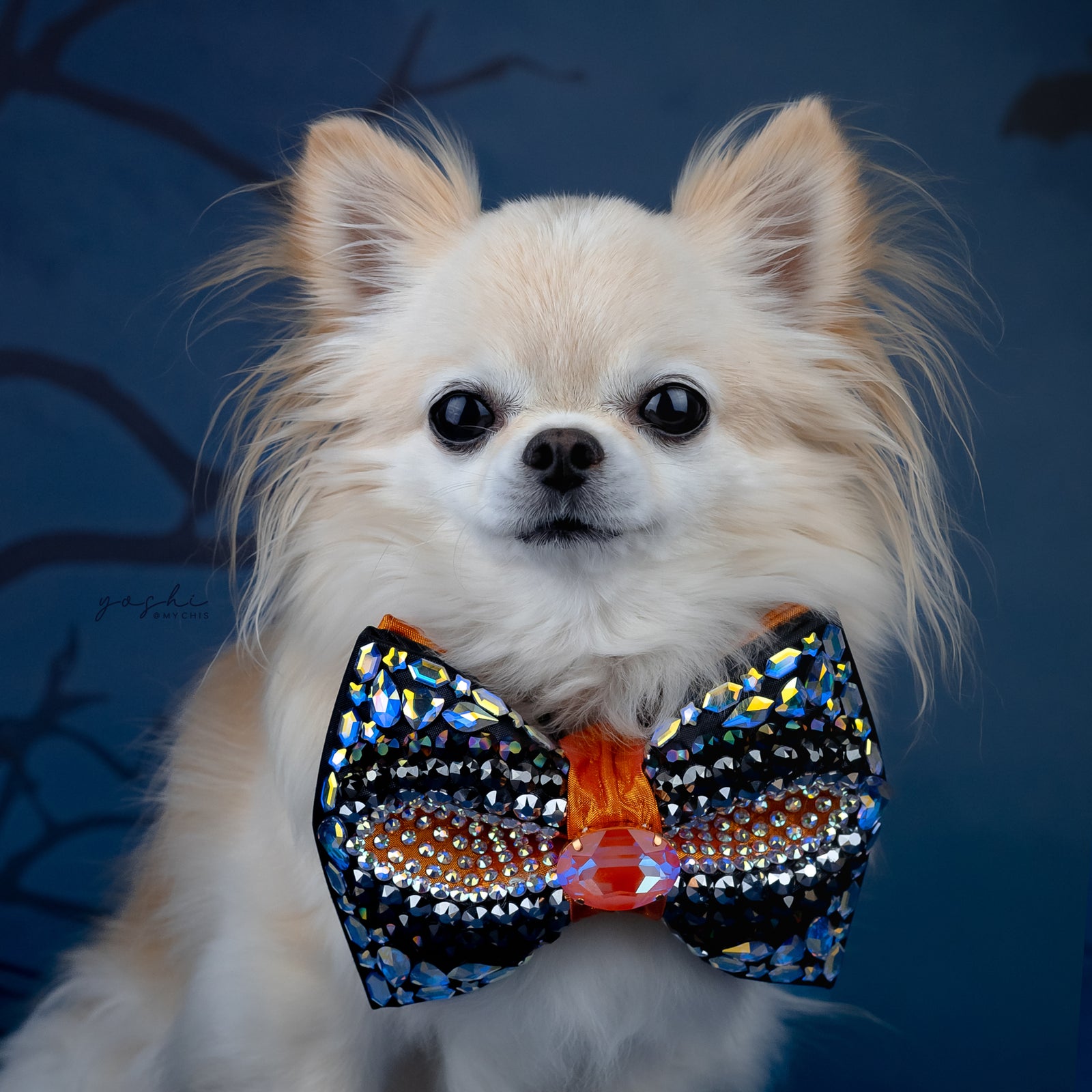 Spooktacular 2025 VIP Bosco Sparkle Bow, Medium