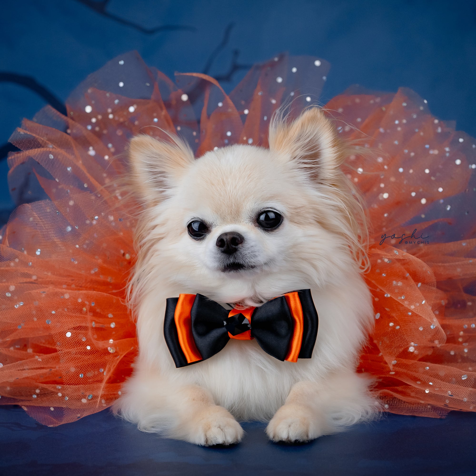 Spooktacular Tutus