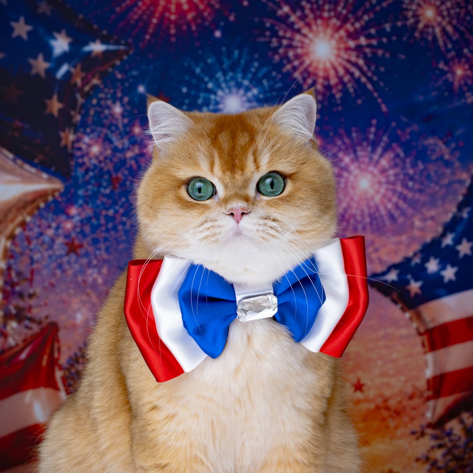Independence Day Amara Bow, Medium