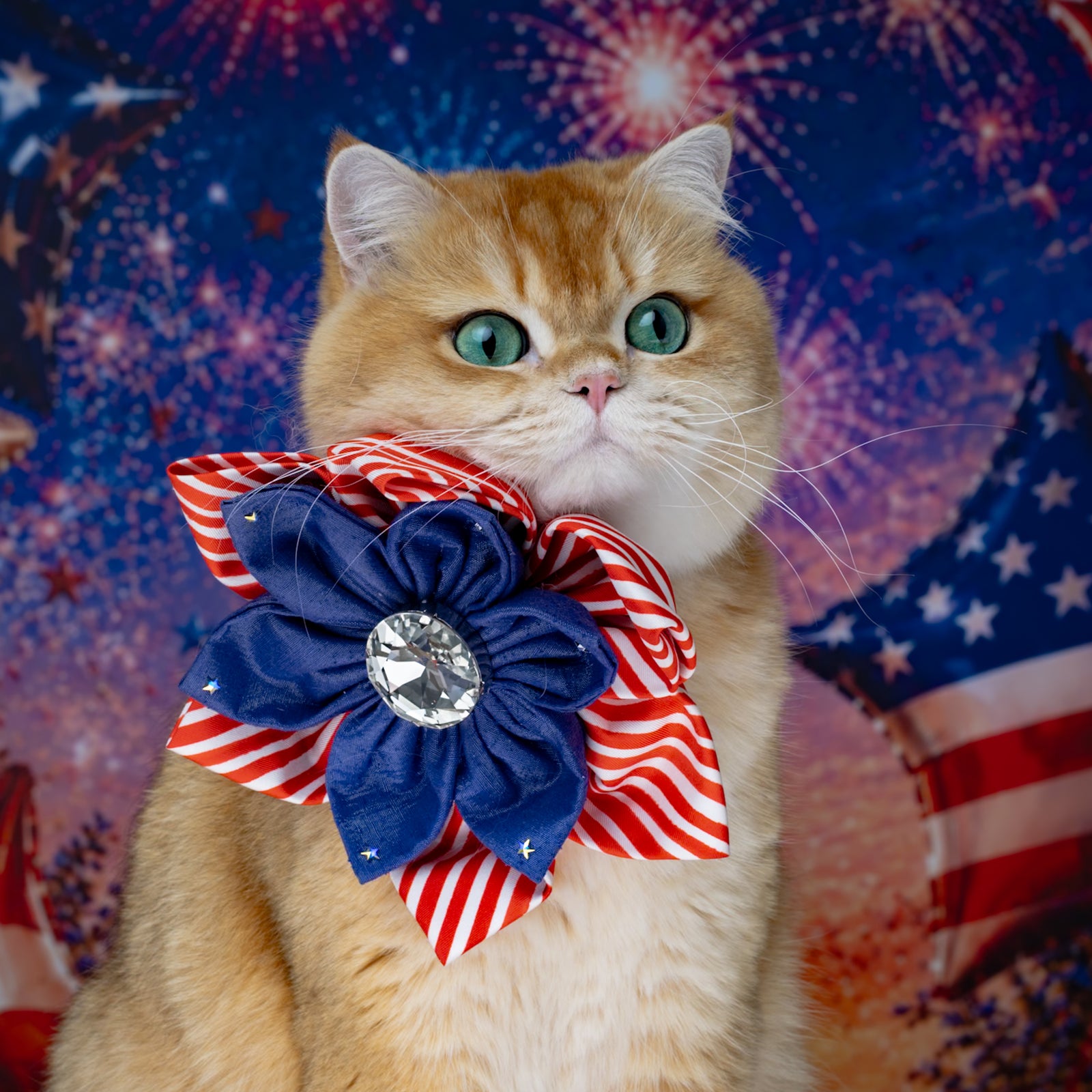 Independence Day Hollywood Silk Rose, Grand
