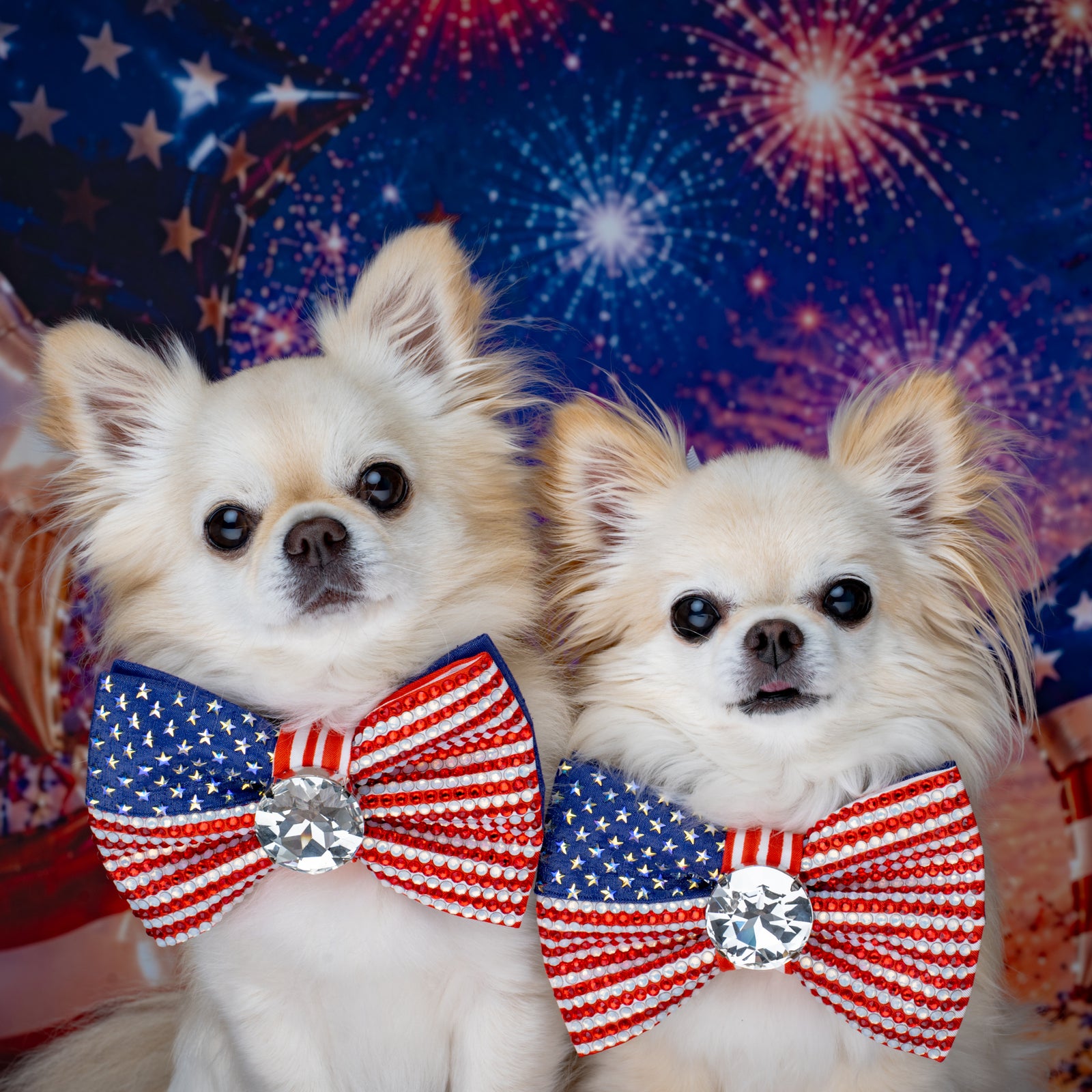 VIP Independence Day Bow, Medium