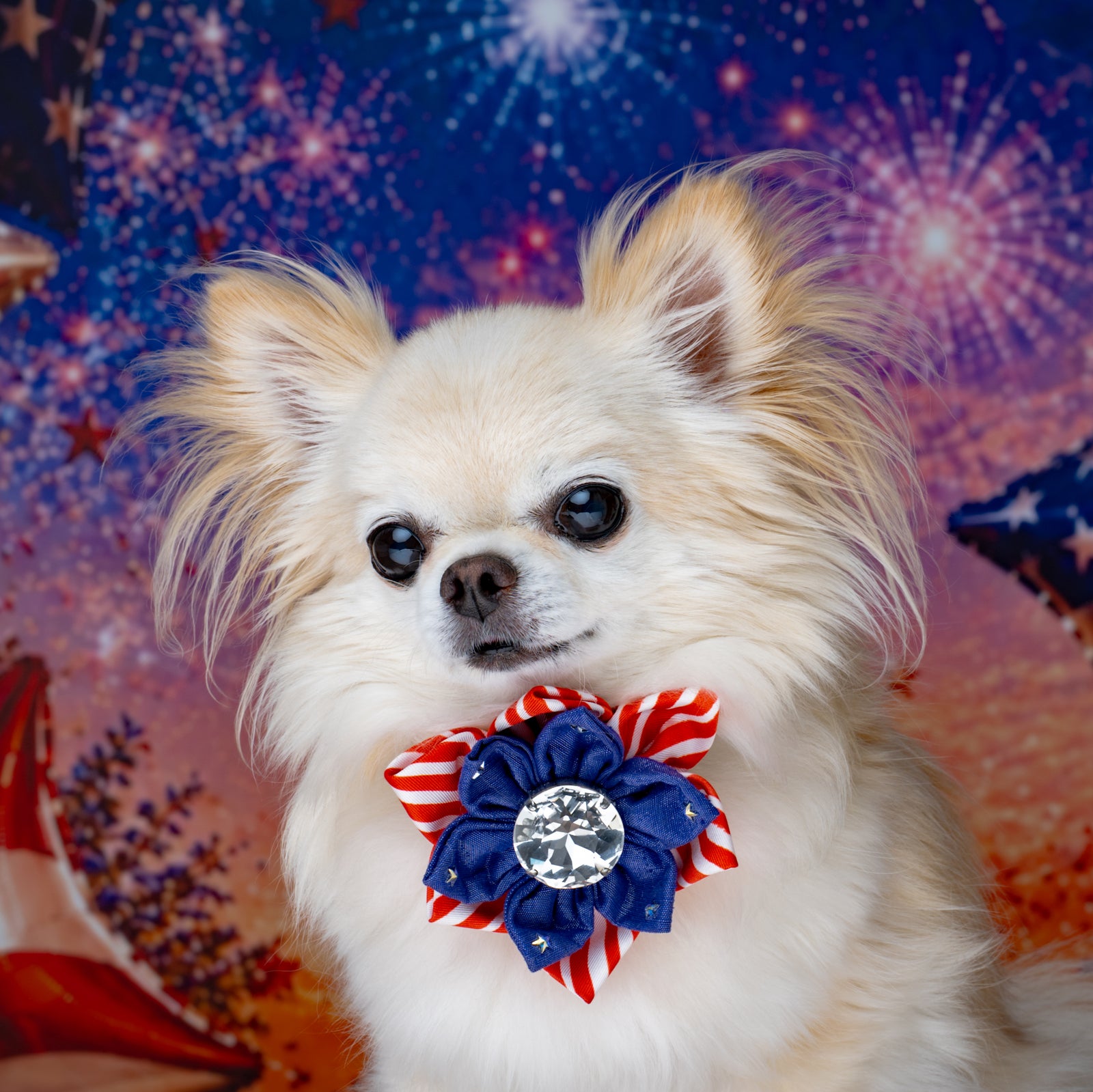 Independence Day Hollywood Silk Rose, Petite