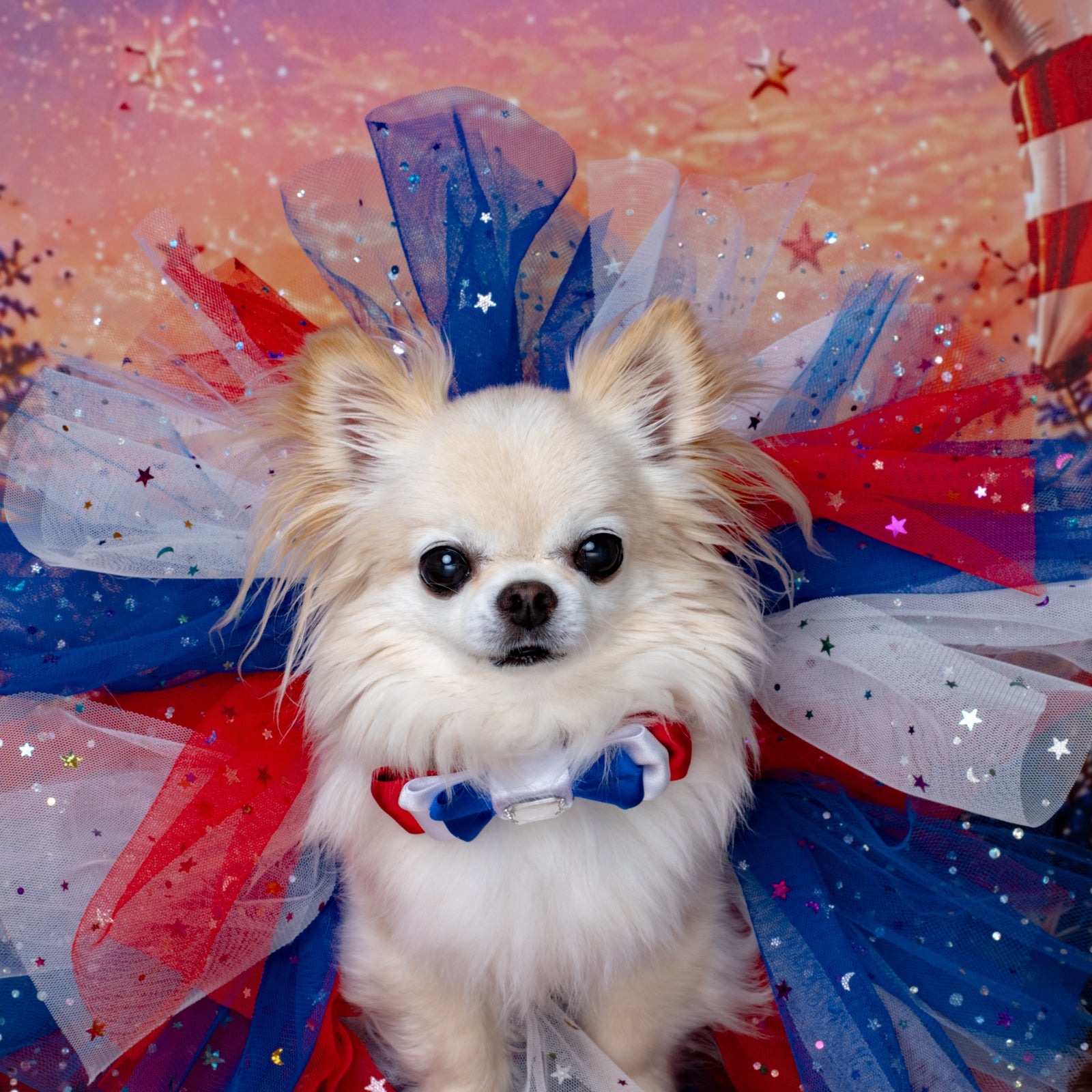 Independence Day Tutus
