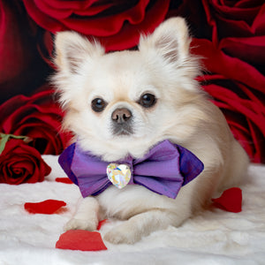 Violet Rose Heart of the Ocean Bow, Medium