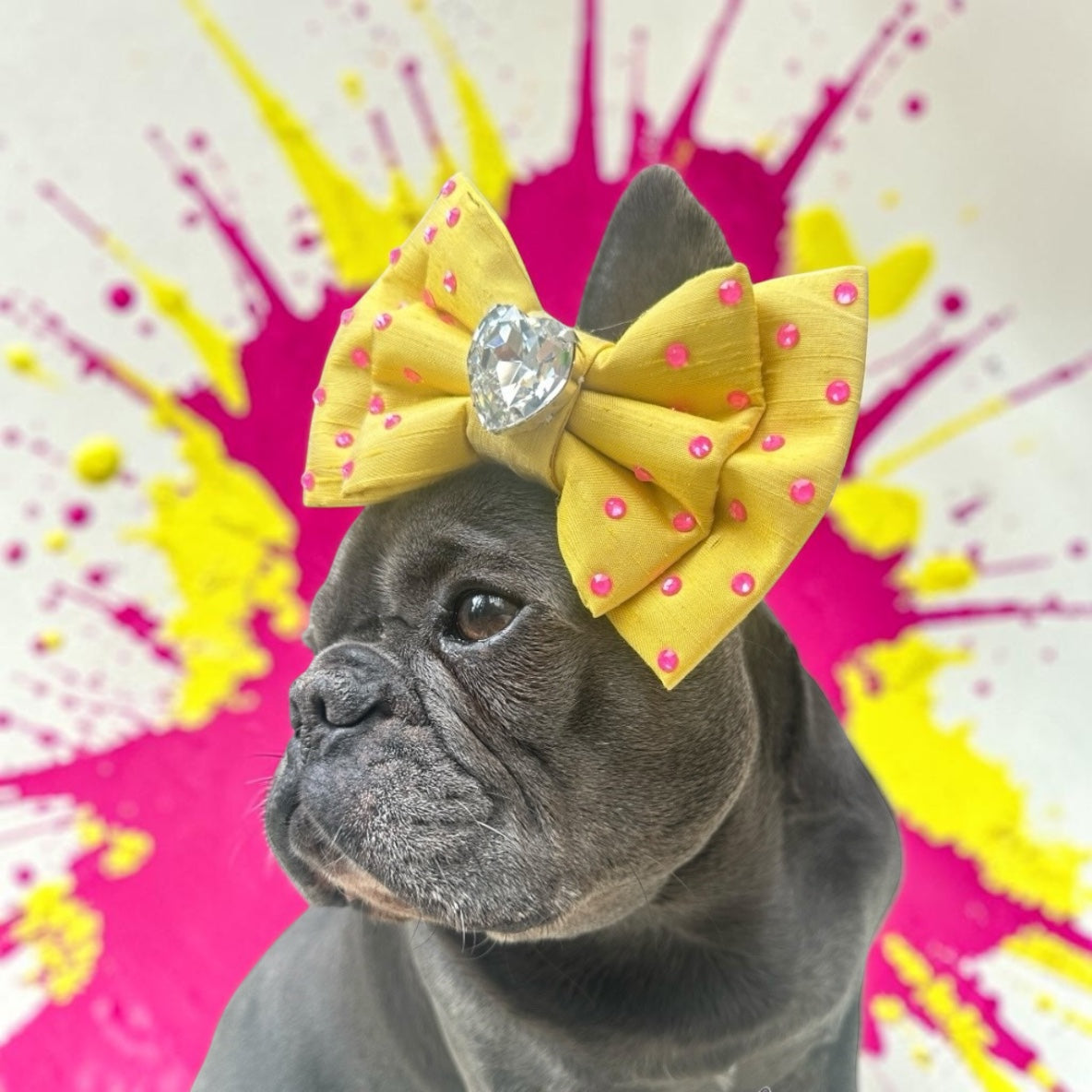 Marni Silk Puppy Love Bow, Medium