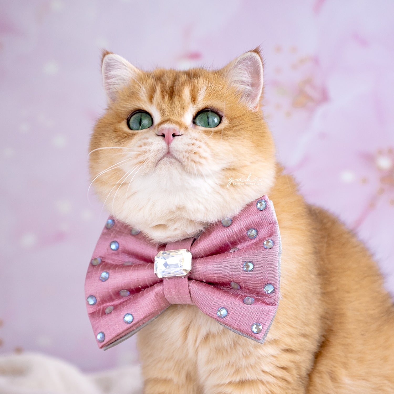 Reversible Bow ∙ Medium ∙ Pink/Silver