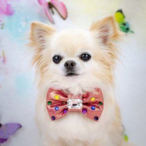 Small dog wearing a colorful bow tie with a blurred floral background.