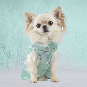 Tiffany Dreams | Silk Dog Jacket | With Customized Crystal Portrait | Tiffany