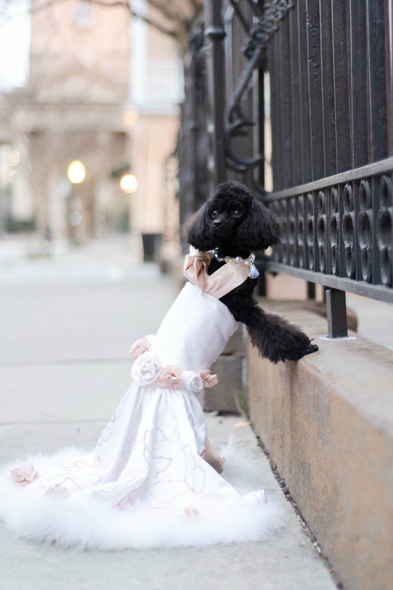 A Midsummer Night's Dream Wedding Dress - The Duchess