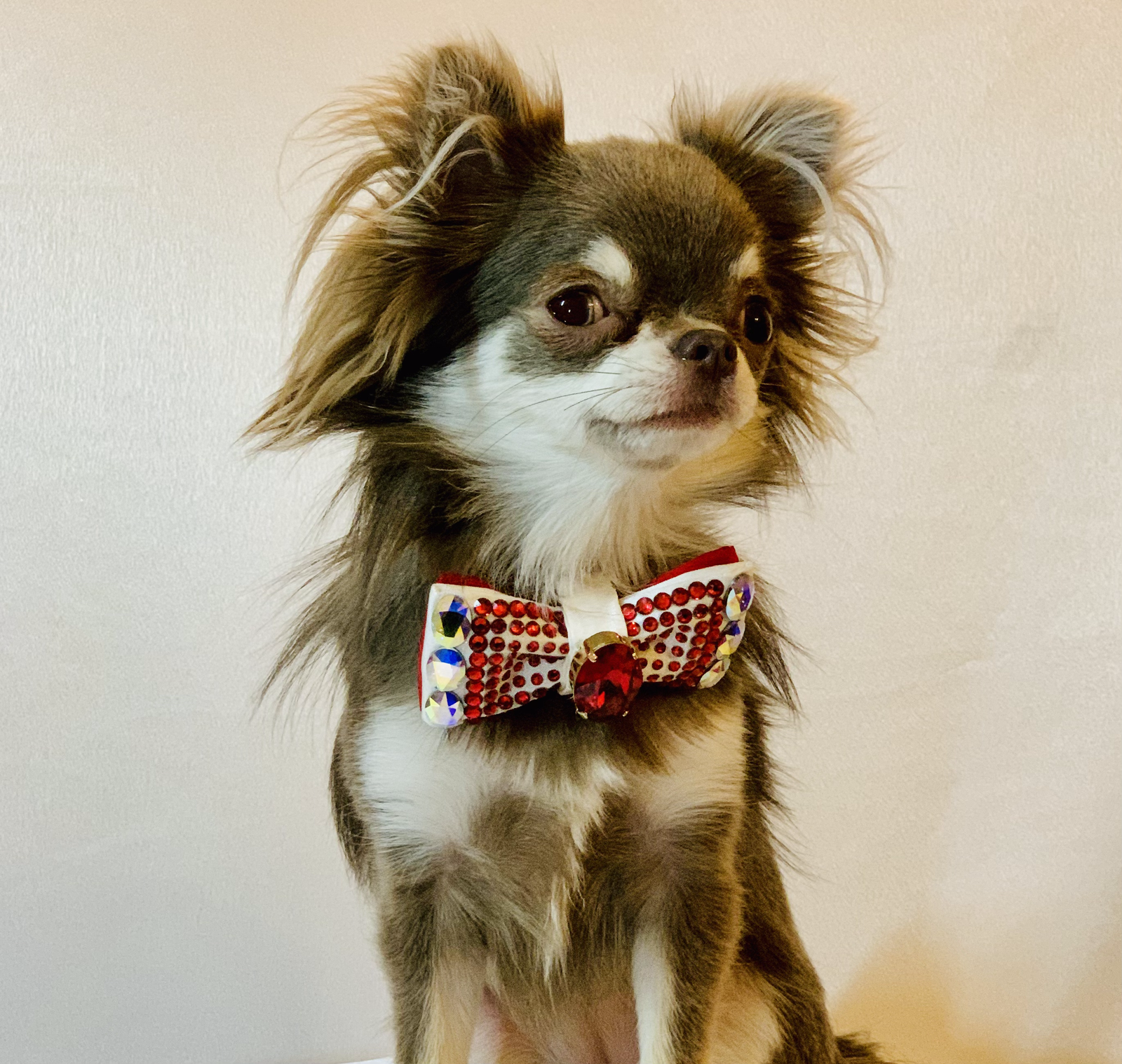 Luxury Pet Bow Tie 