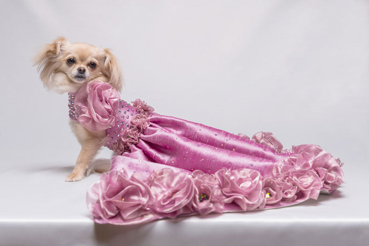 pink dog dress Laifug Puppy Print Princess Dog Dress Cute Party Wear (Pink, M) : Pet Supplies Hot pink athleisure dog dress for small dogs and cats Doggy Parton, Dog Clothes, Leopard