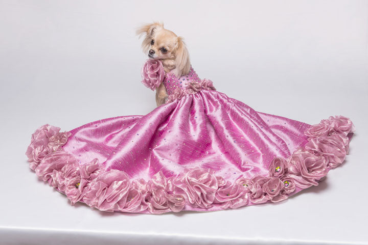 Candy Floss Rose Gown