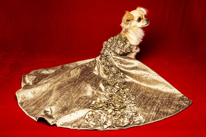 Crystal Rose Dog Gown