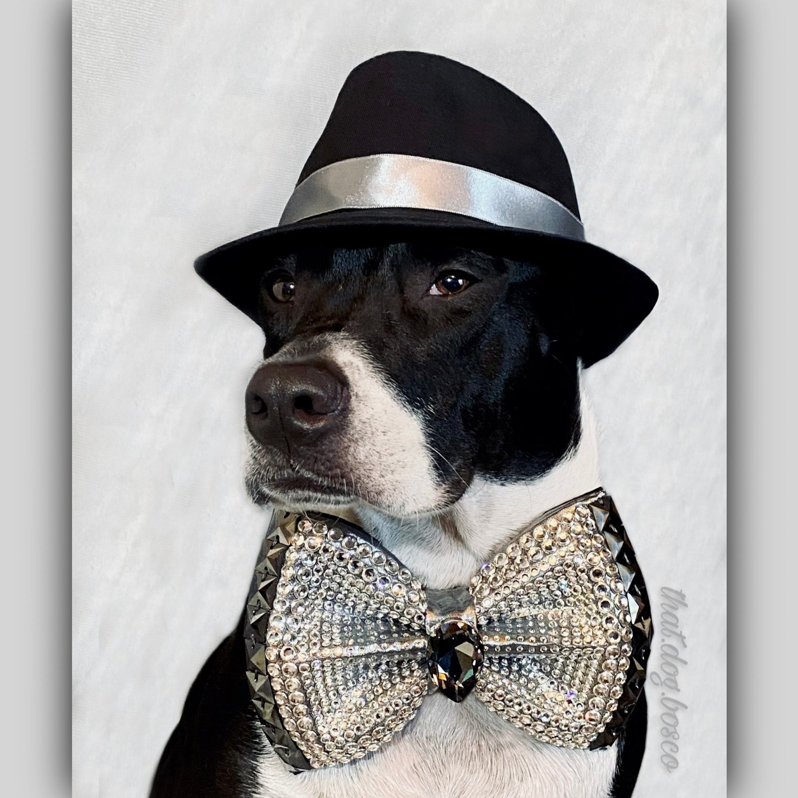VIP Monarch Bosco Dog Bow Tie | Midnight Silver | Grand