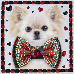 VIP Monarch Lovebug medium dog bow tie in red