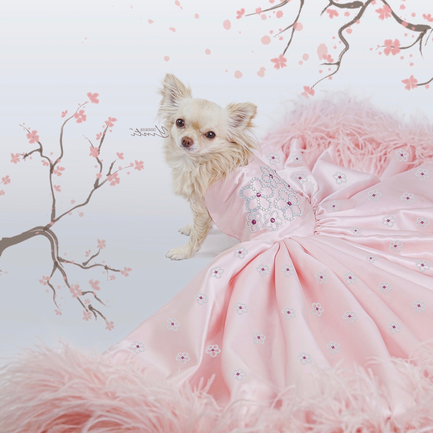 Quinceanera dress for dogs best sale