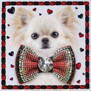 VIP Monarch Lovebug medium dog bow tie in red