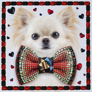 VIP Monarch Lovebug medium dog bow tie in red