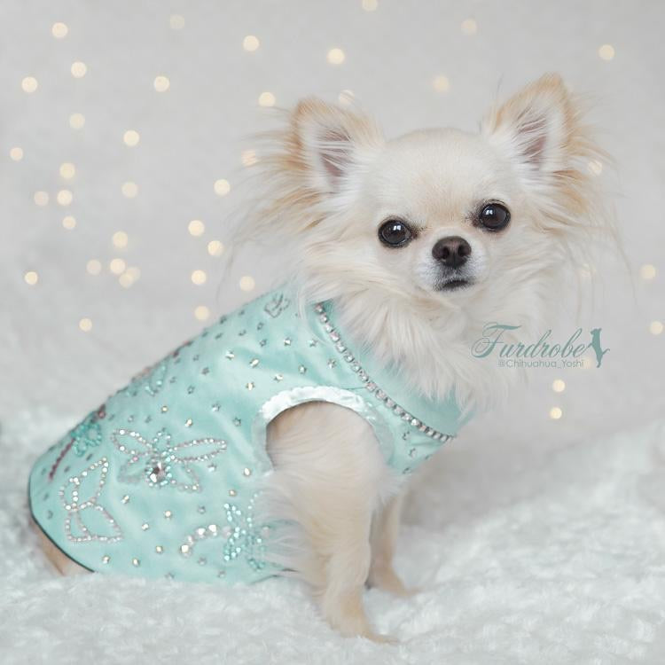 Tiffany Dreams | Silk Dog Jacket | Tiffany