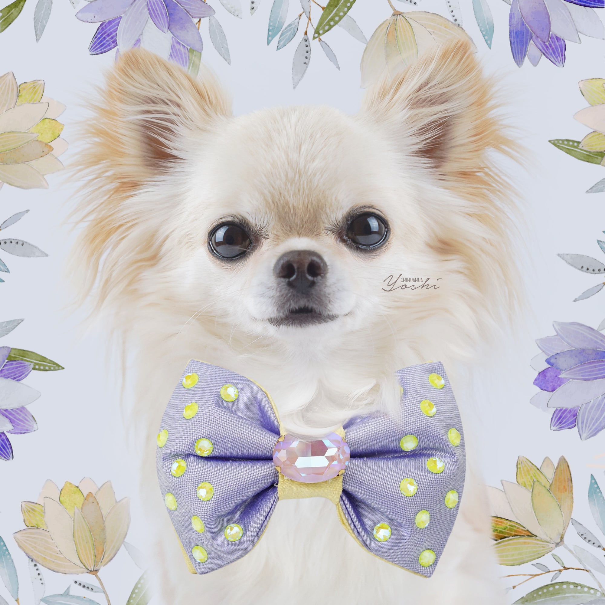 Primroses and Violets | Silk Reversible Bow Tie | Large | Fancy Cut Oval Crystal
