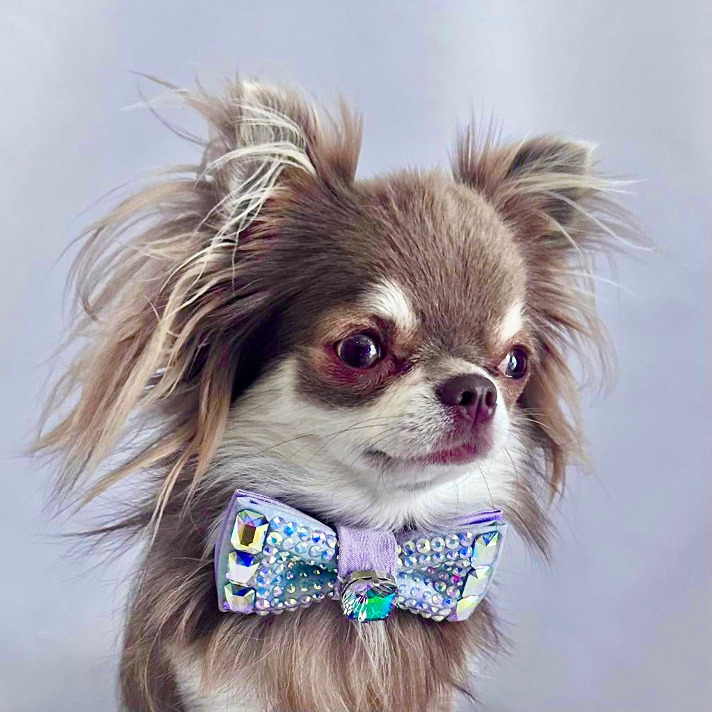 Hydrangea Monarch Bow, Handpainted, Mini