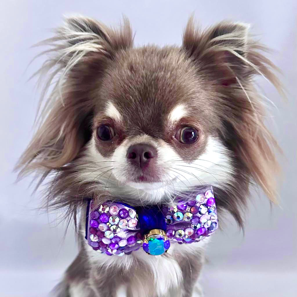 Hydrangea Bubble Bow, Lilac Petite