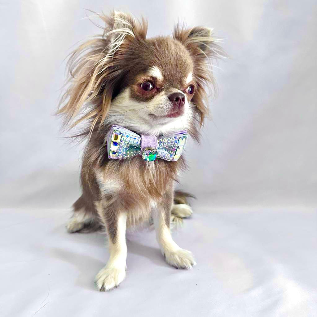 Hydrangea Monarch Bow, Handpainted, Mini