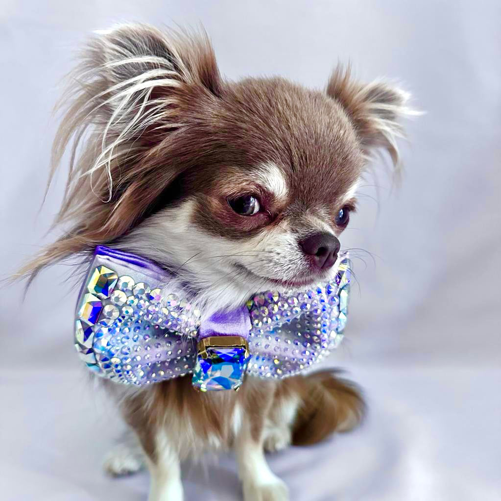 Hydrangea Monarch Bow, Handpainted, Medium