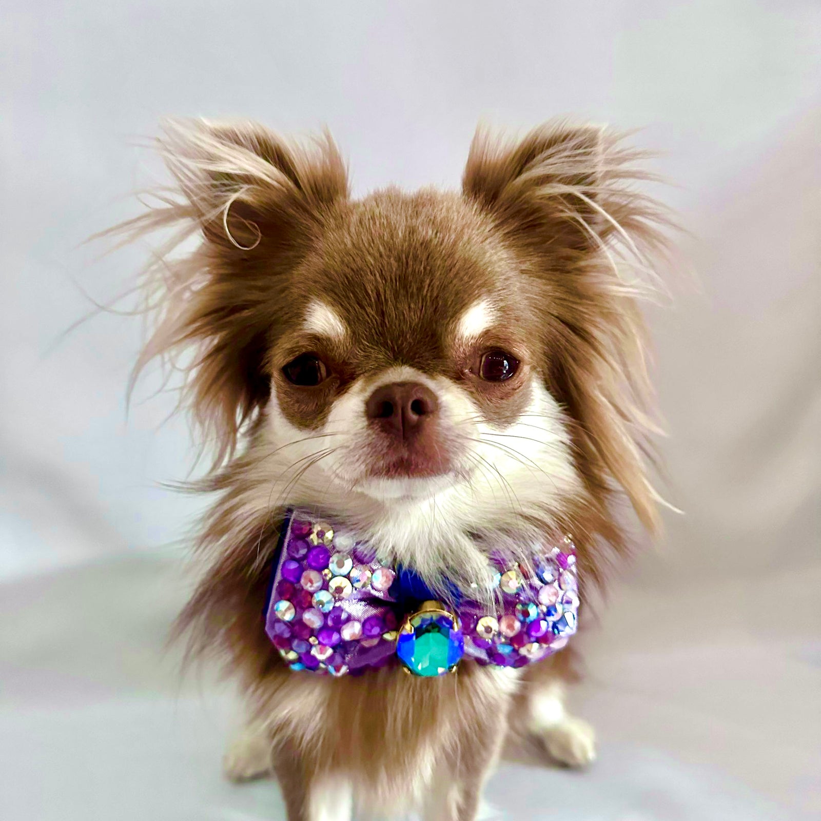 Hydrangea Bubble Bow, Purple Petite