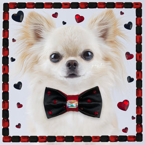 Lovebug small reversible silk bow tie